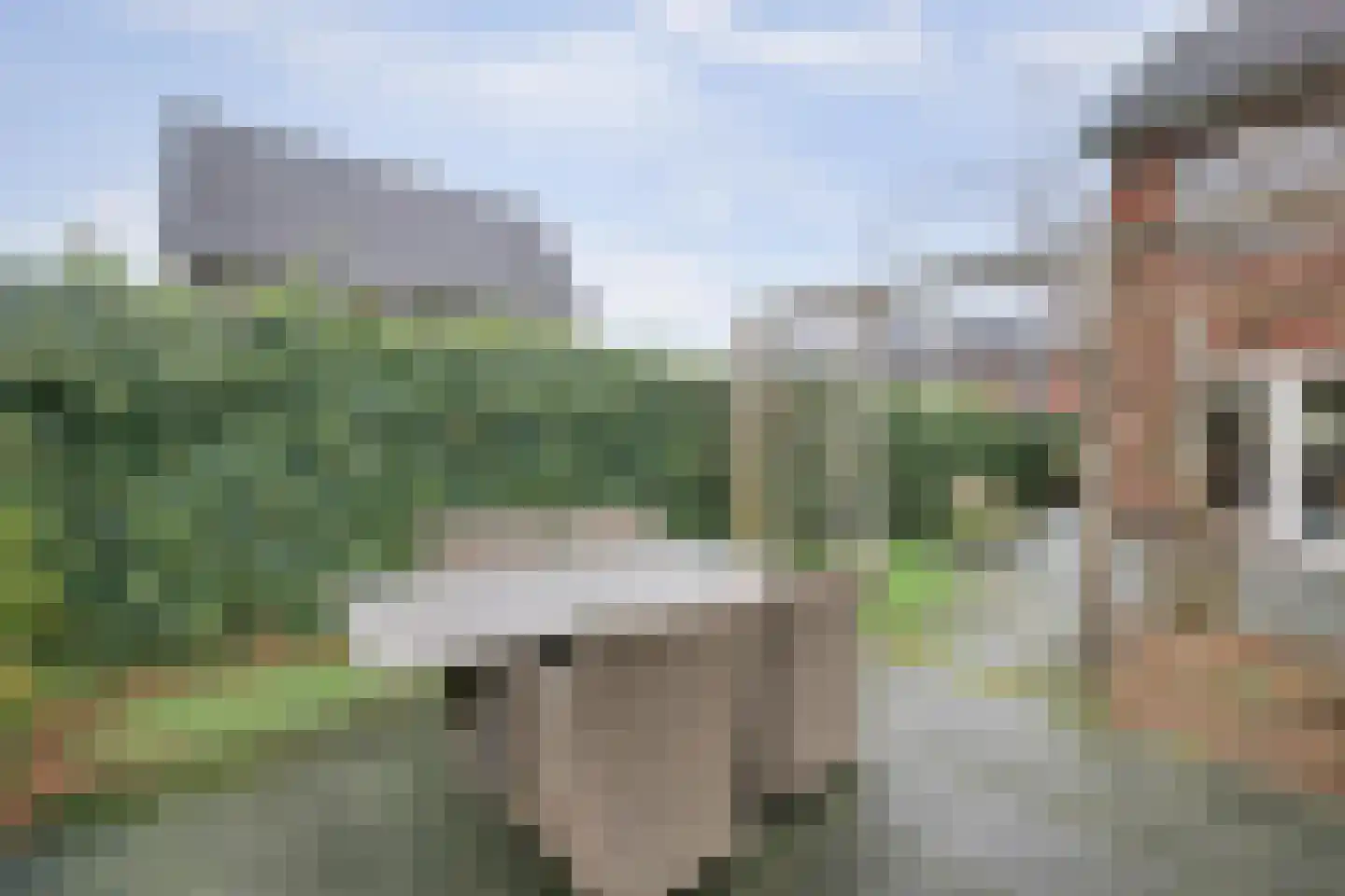 Karinastraat 20 Kerkdriel thumbnail 30