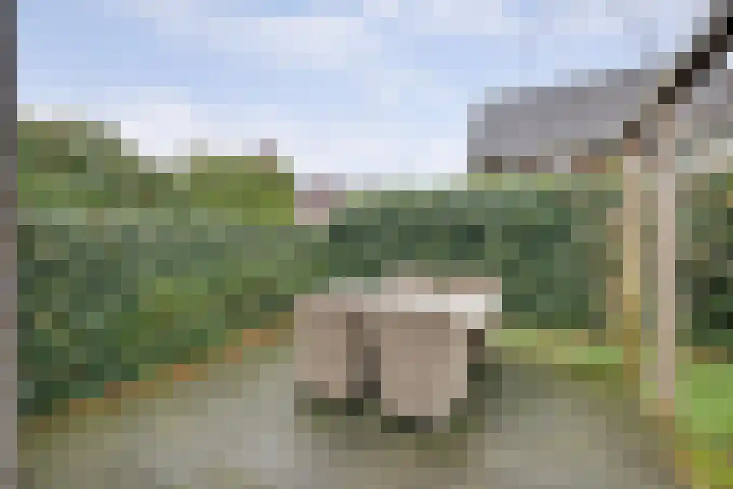 Karinastraat 20 Kerkdriel thumbnail 31