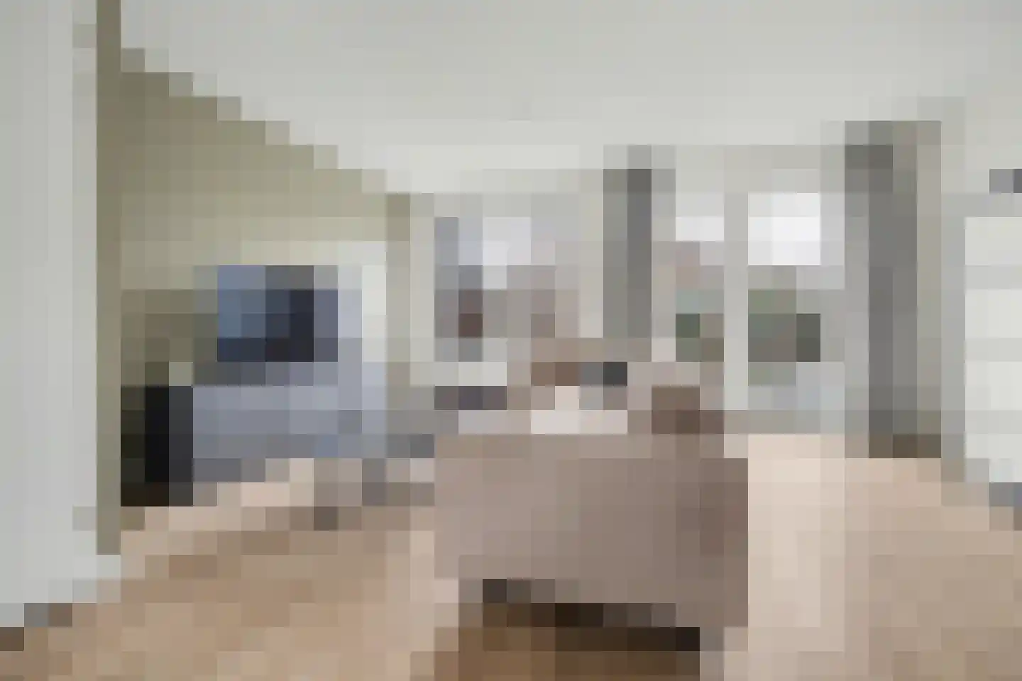 Karinastraat 20 Kerkdriel thumbnail 5