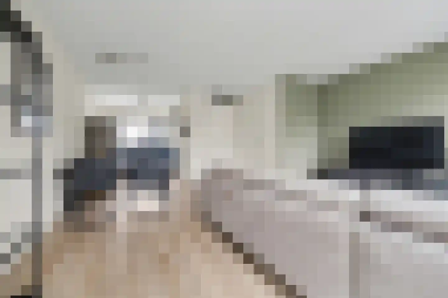 Karinastraat 20 Kerkdriel thumbnail 7