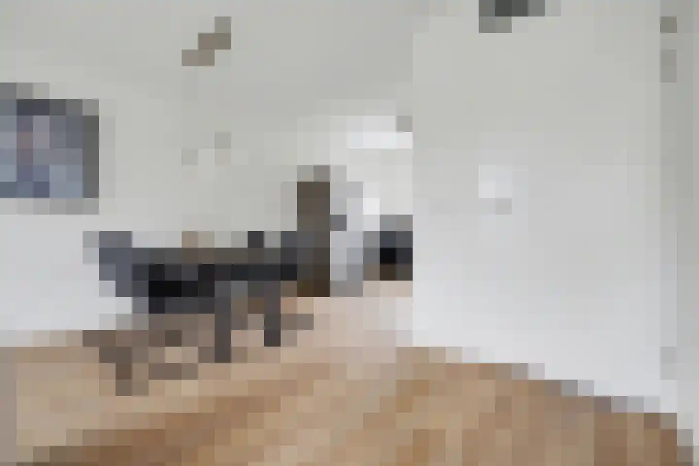 Karinastraat 20 Kerkdriel thumbnail 9