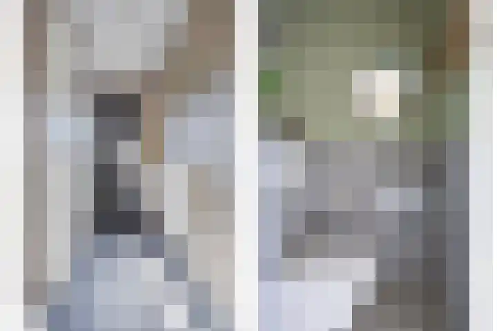 Karinastraat 24 Kerkdriel thumbnail 11