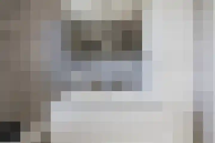 Karinastraat 24 Kerkdriel thumbnail 26