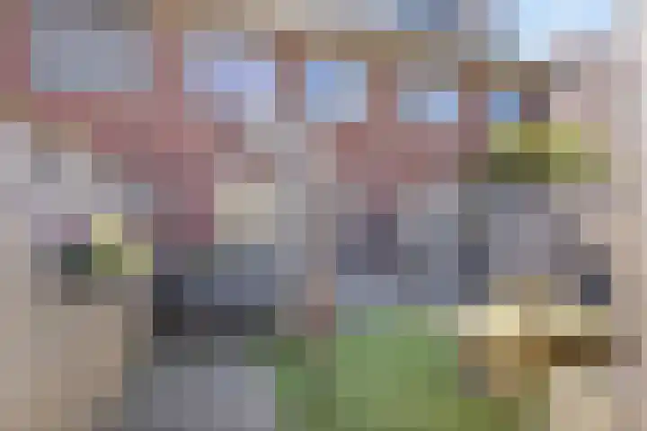 Karinastraat 24 Kerkdriel thumbnail 38