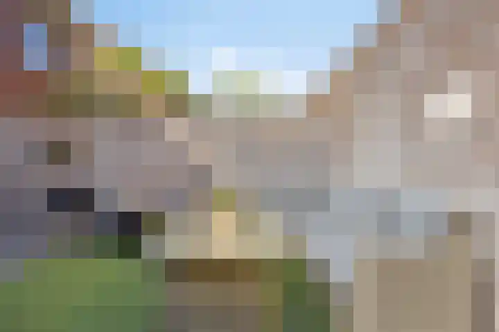 Karinastraat 24 Kerkdriel thumbnail 40