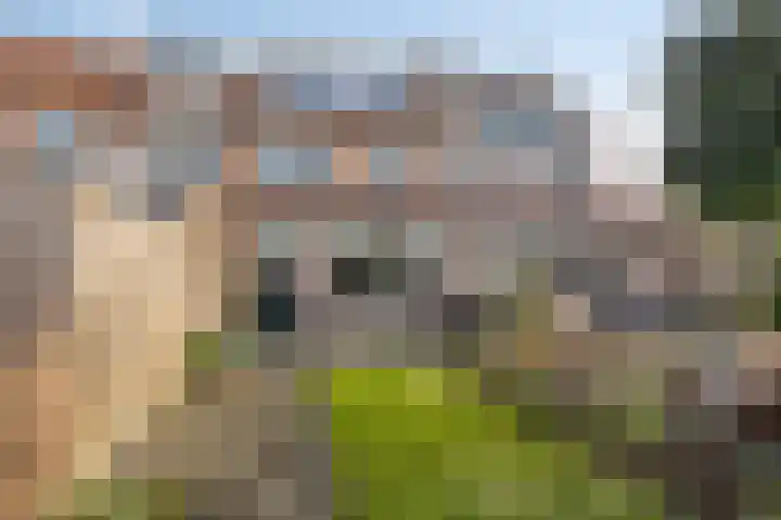 Karinthiëstraat 56 Alkmaar thumbnail 42