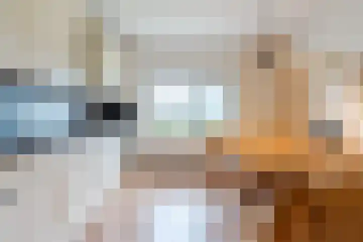 Karissteeg 6 Nederweert thumbnail 14