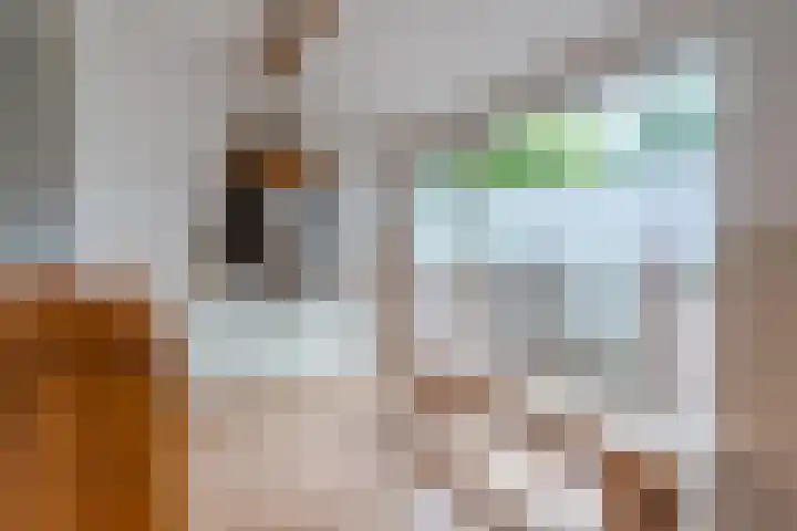 Karissteeg 6 Nederweert thumbnail 17