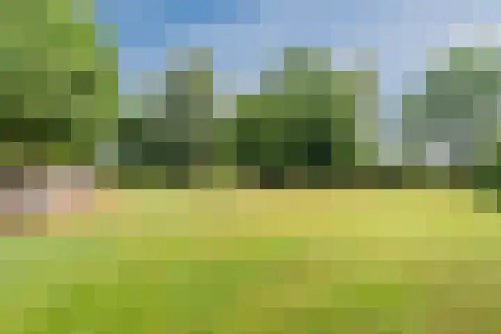 Karissteeg 6 Nederweert thumbnail 33