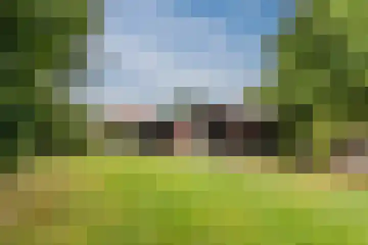 Karissteeg 6 Nederweert thumbnail 34