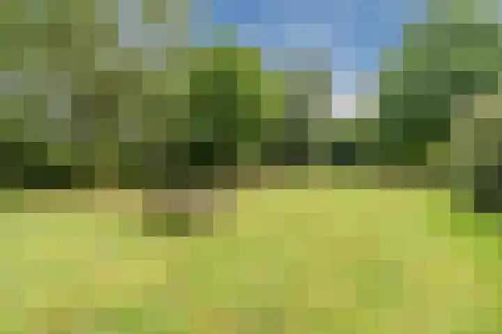 Karissteeg 6 Nederweert thumbnail 35