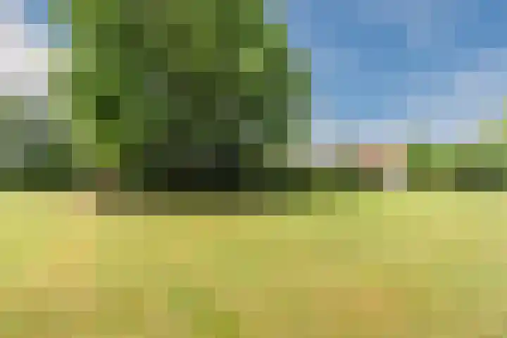 Karissteeg 6 Nederweert thumbnail 37