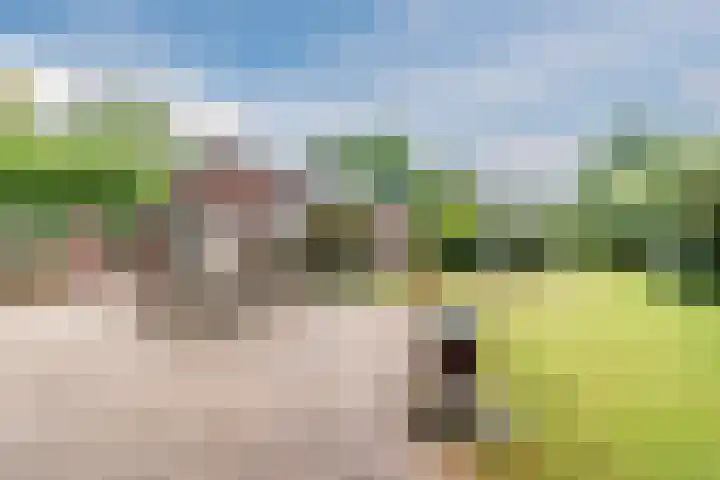 Karissteeg 6 Nederweert thumbnail 38
