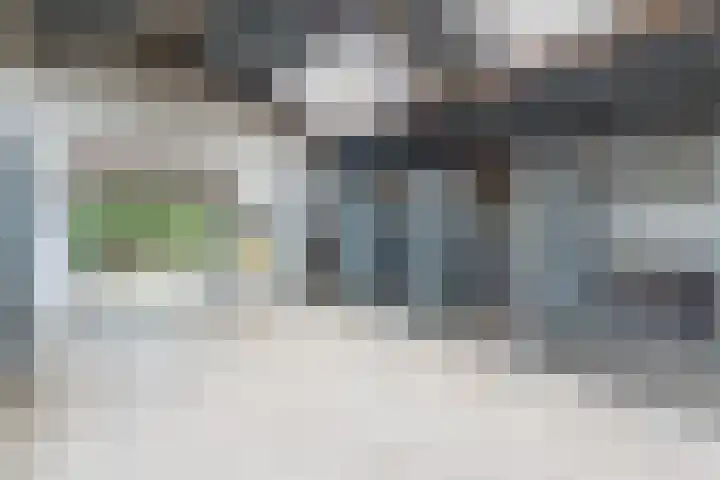 Karissteeg 6 Nederweert thumbnail 41
