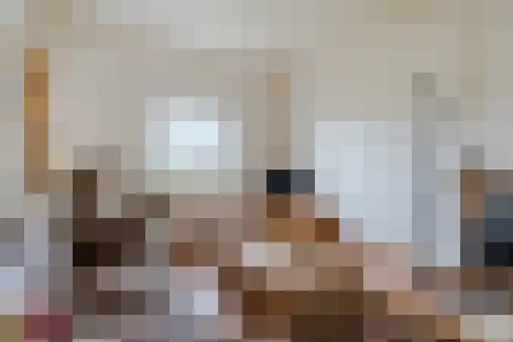 Karissteeg 6 Nederweert thumbnail 6