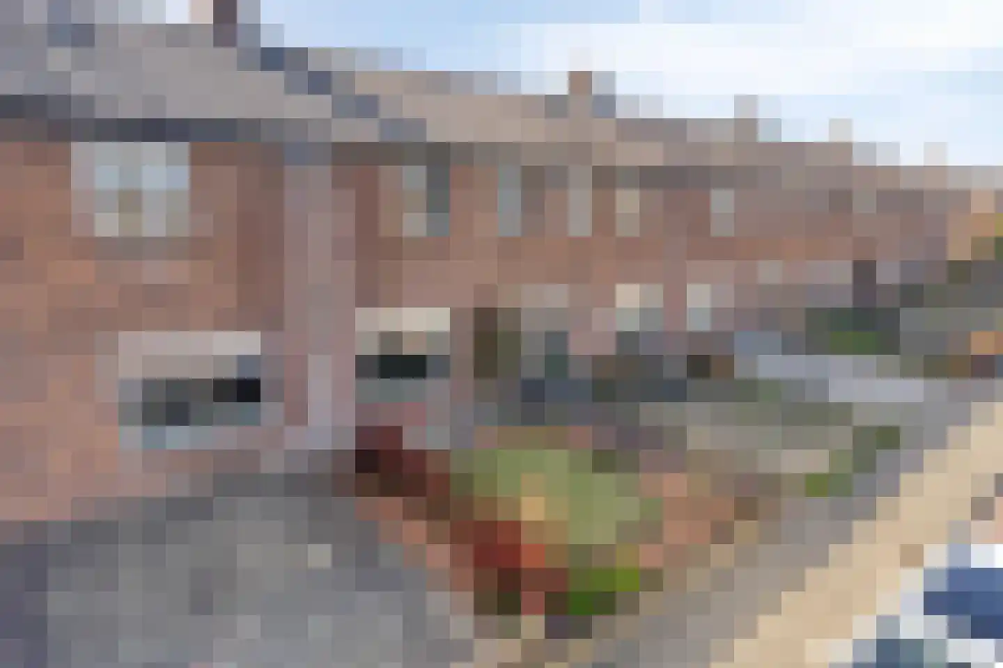 Karkietweg 32 Apeldoorn thumbnail 38