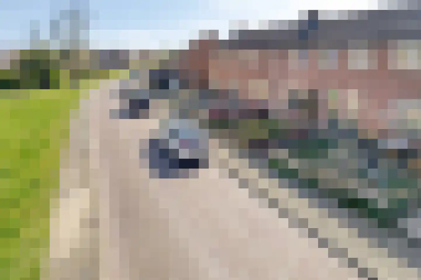 Karkietweg 32 Apeldoorn thumbnail 39