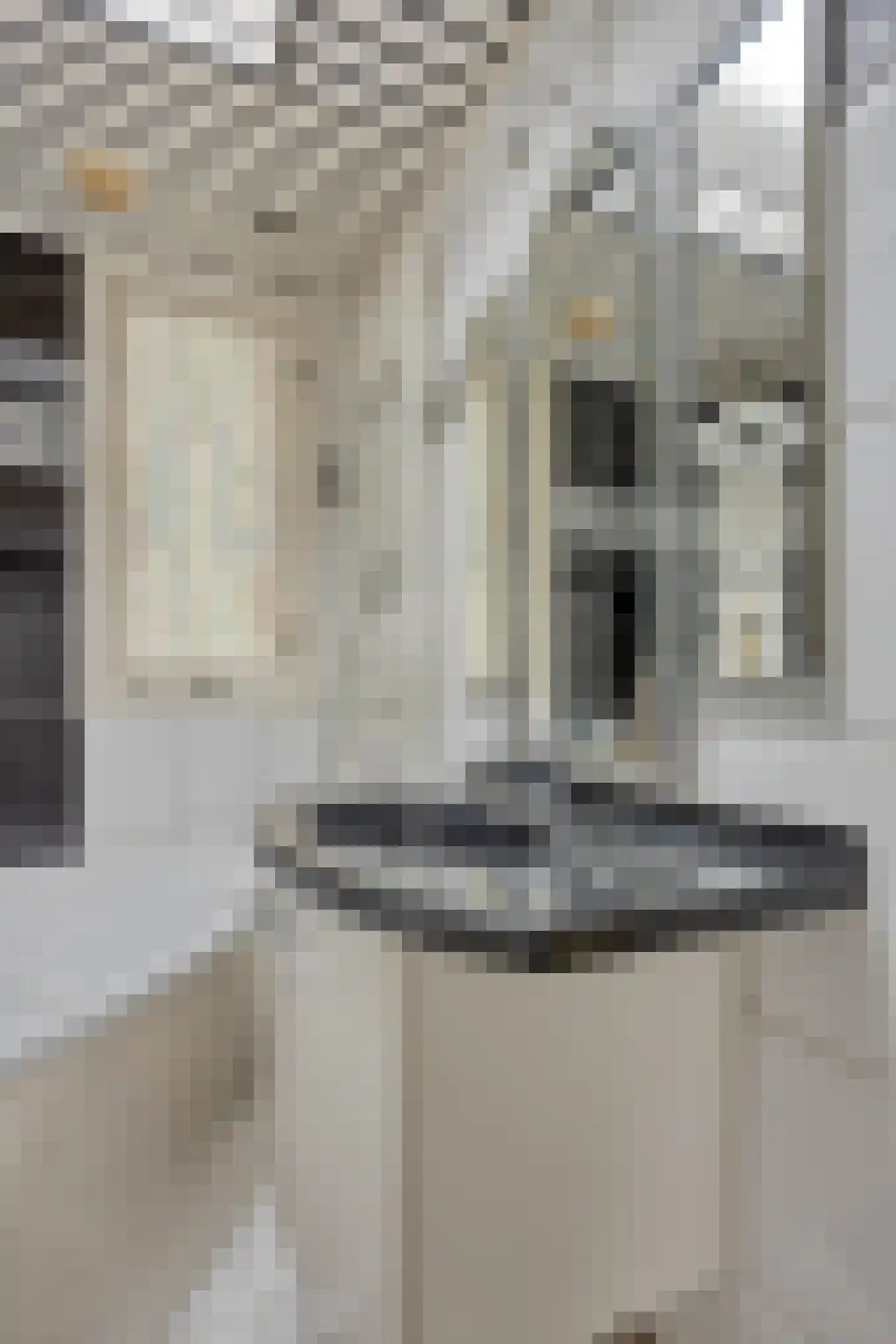 Karl Marxstraat 23 Zaandijk thumbnail 25