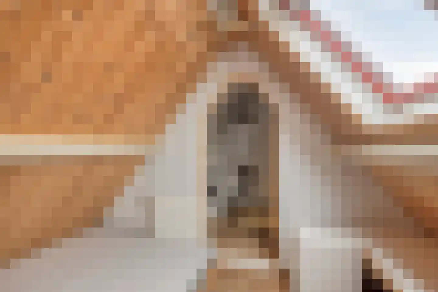Karl Marxstraat 23 Zaandijk thumbnail 29