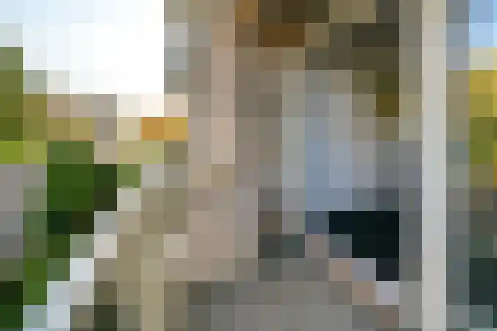 Karl Marxstraat 24 Rotterdam thumbnail 22