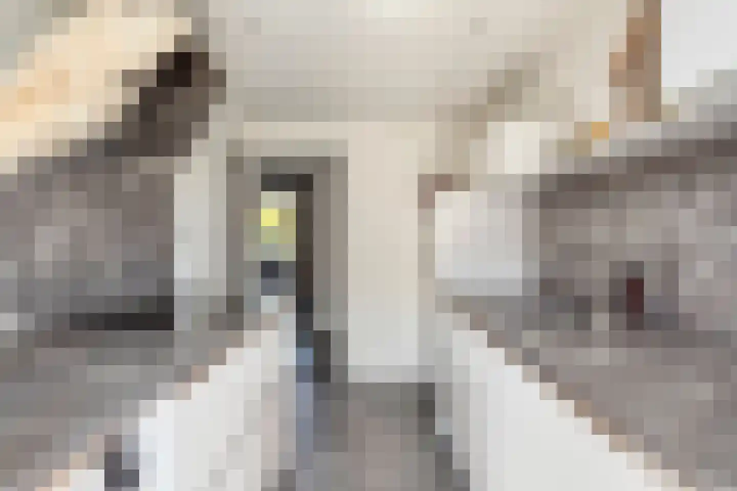 Karl Marxstraat 38 Rotterdam thumbnail 17