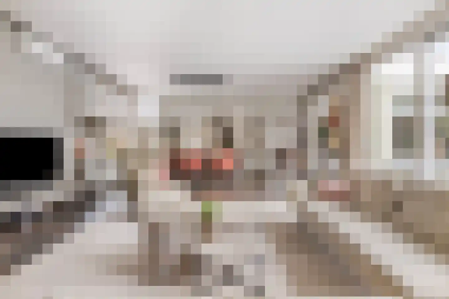Karl Marxstraat 86 Rotterdam thumbnail 16