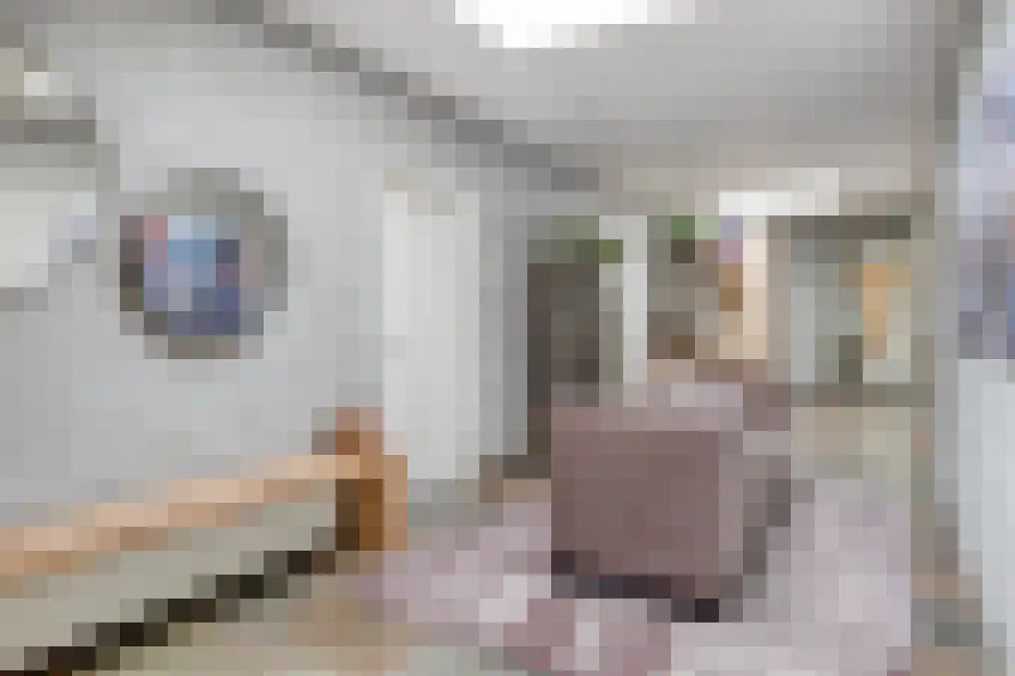 Karl Marxstraat 86 Rotterdam thumbnail 8