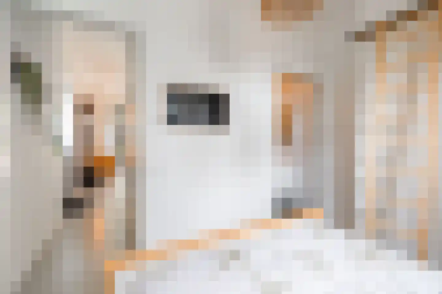 Karl Weisbardstraat 4 Rotterdam thumbnail 20