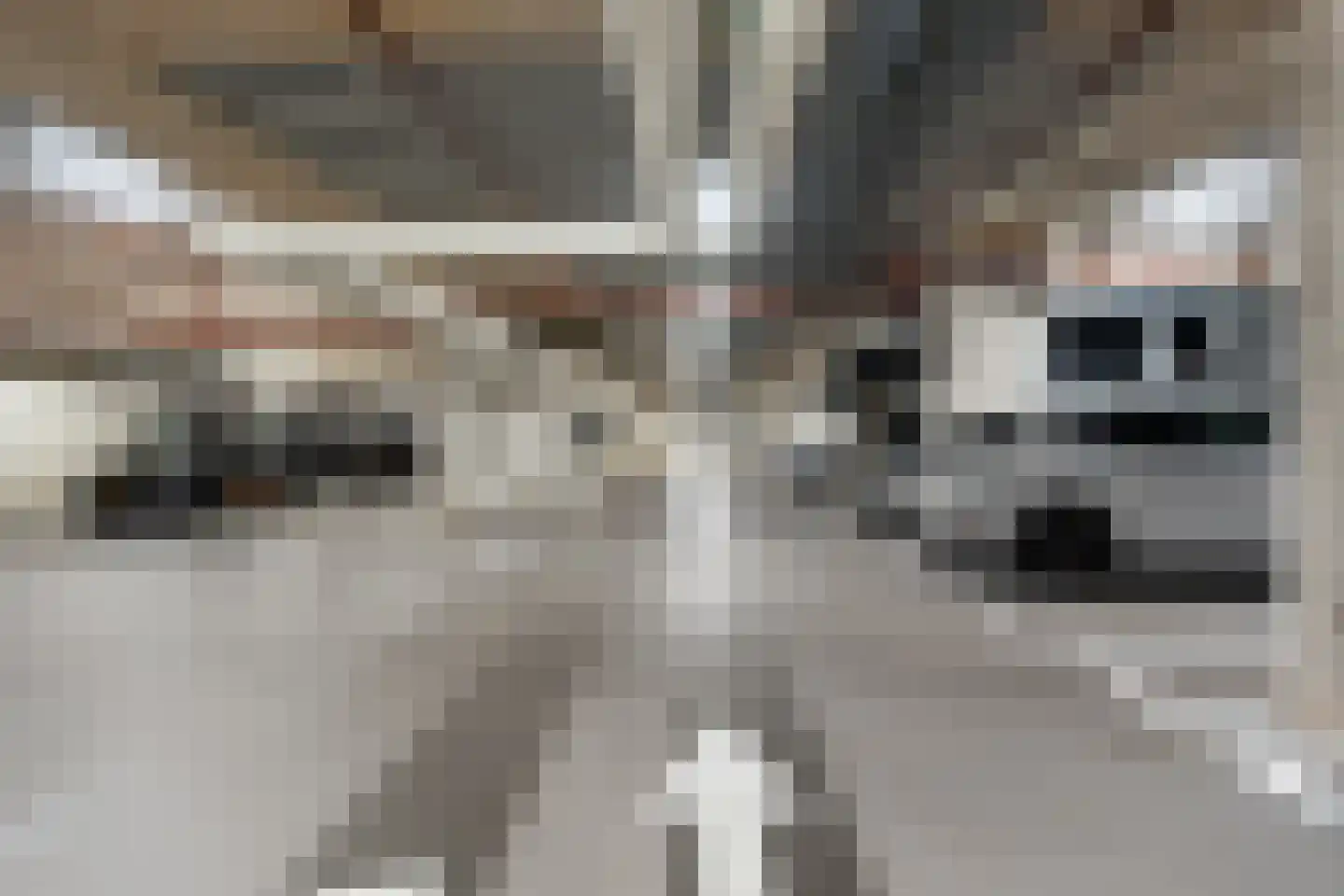 Karl Weisbardstraat 4 Rotterdam thumbnail 30