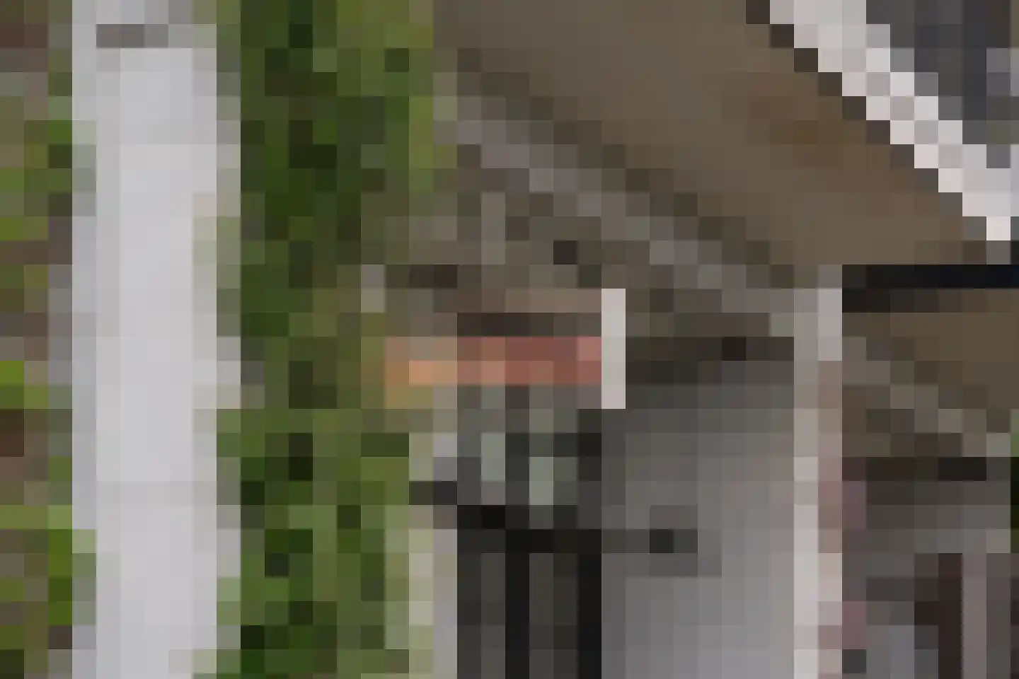 Karl Weisbardstraat 4 Rotterdam thumbnail 39