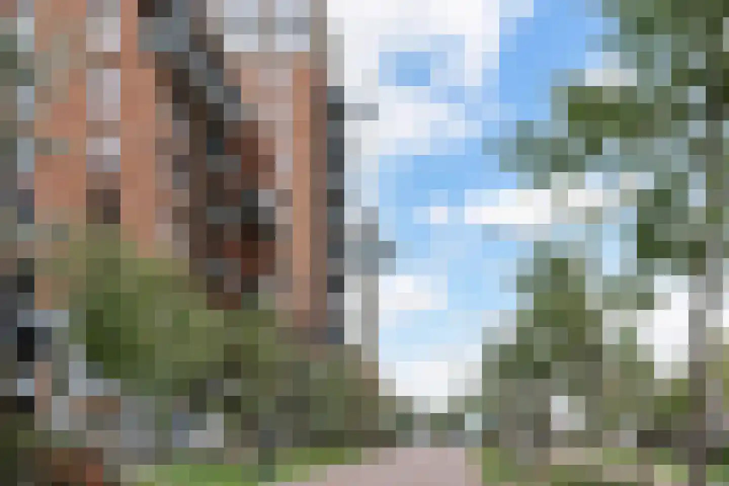 Karl Weisbardstraat 4 Rotterdam thumbnail 42