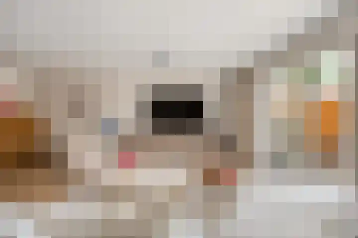 Karlberg 12 Zevenhuizen thumbnail 17