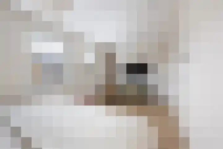 Karlberg 12 Zevenhuizen thumbnail 26