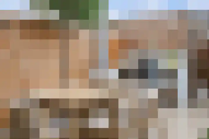 Karlberg 12 Zevenhuizen thumbnail 37