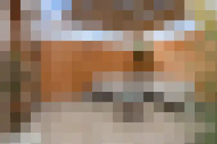Karlberg 12 Zevenhuizen thumbnail 38