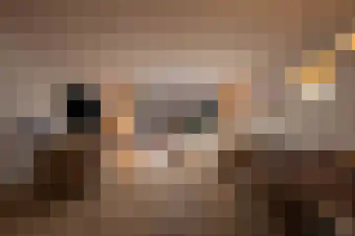 Karlberg 12 Zevenhuizen thumbnail 5