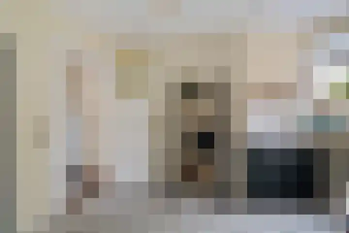 Karlingakkers 23 Peize thumbnail 17