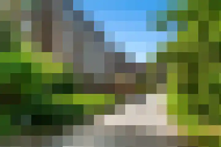 Karlingakkers 23 Peize thumbnail 28