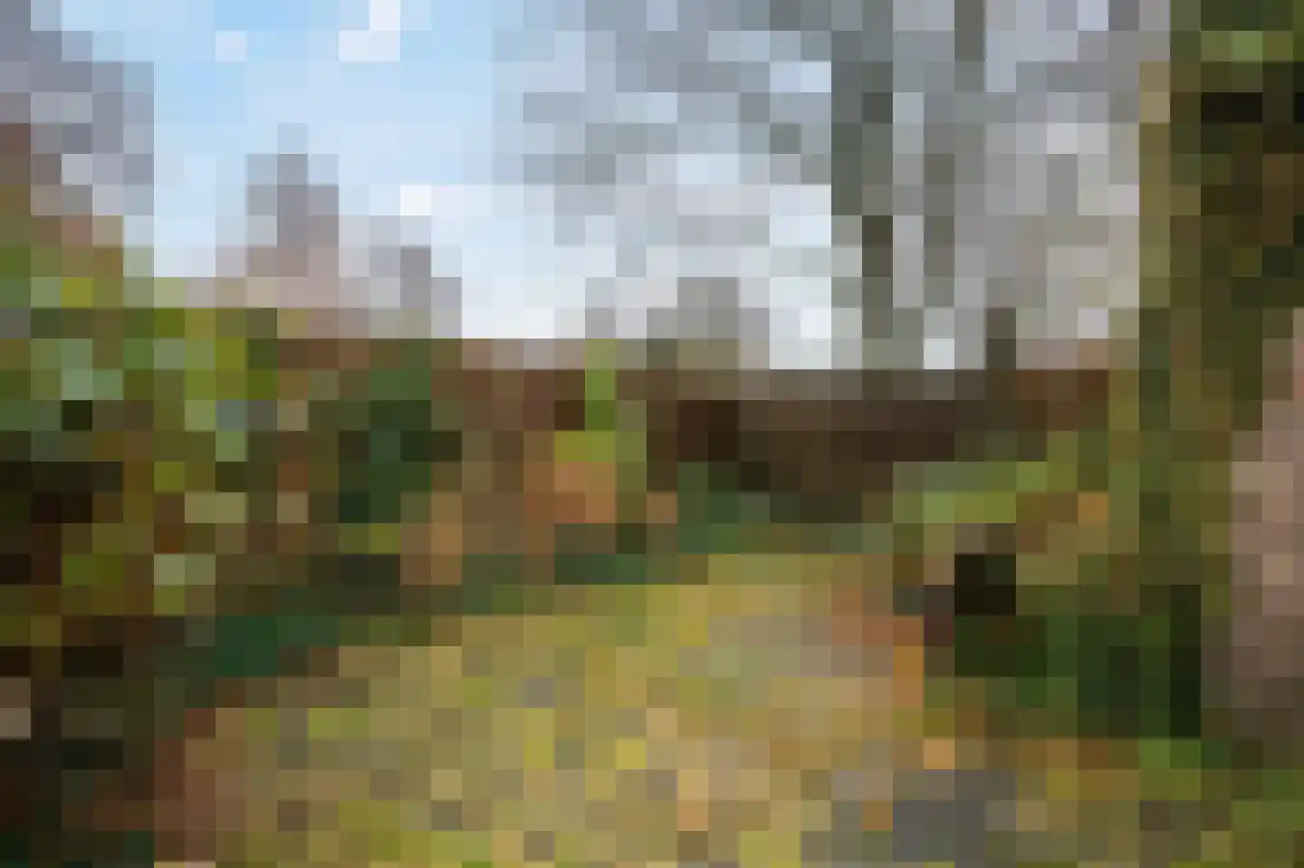 Karlingakkers 23 Peize thumbnail 36