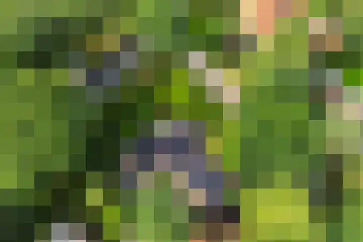 Karlingakkers 23 Peize thumbnail 37