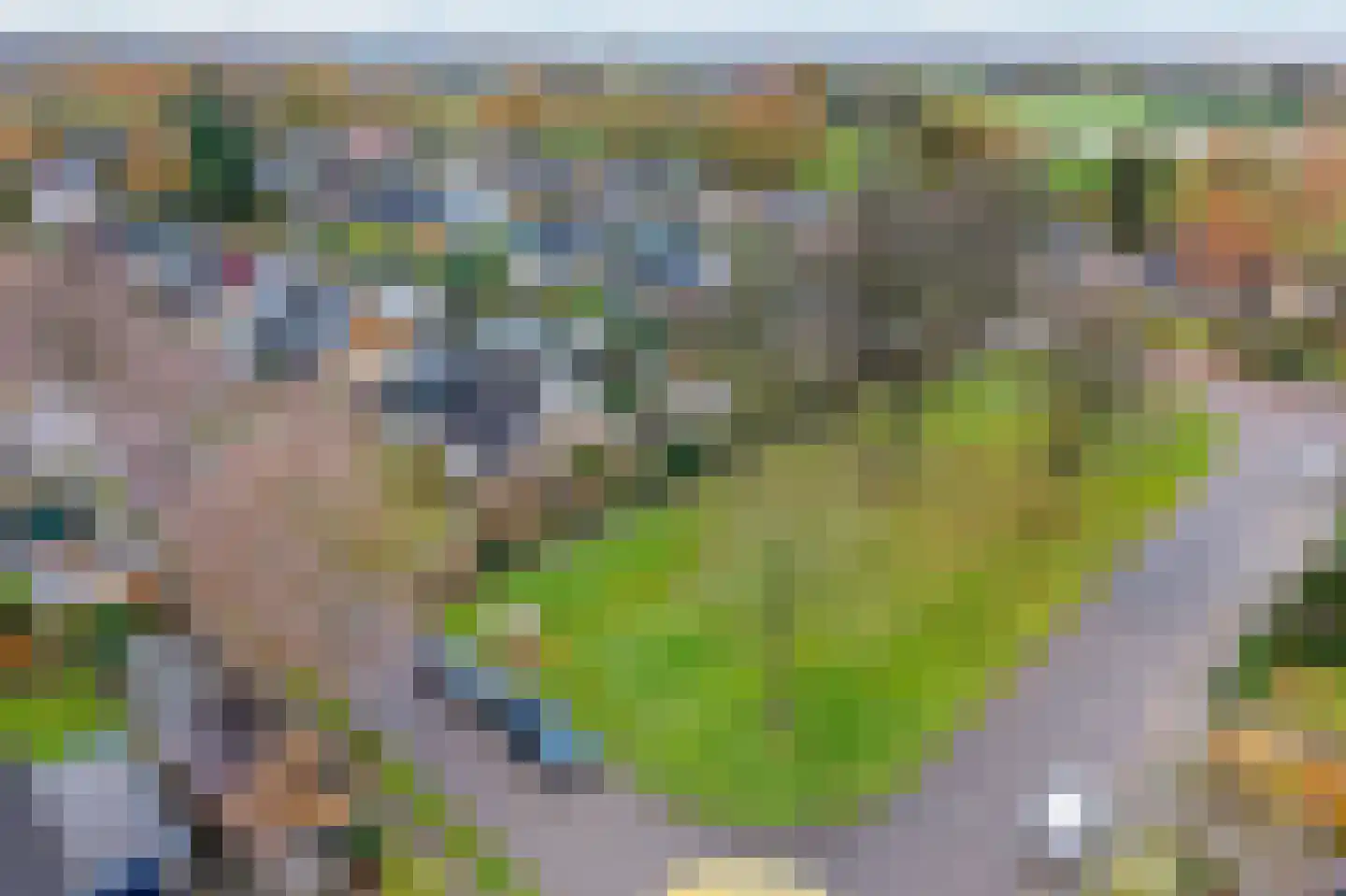 Karlingakkers 23 Peize thumbnail 41