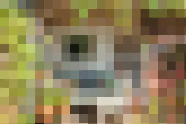 Karlingakkers 23 Peize thumbnail 6