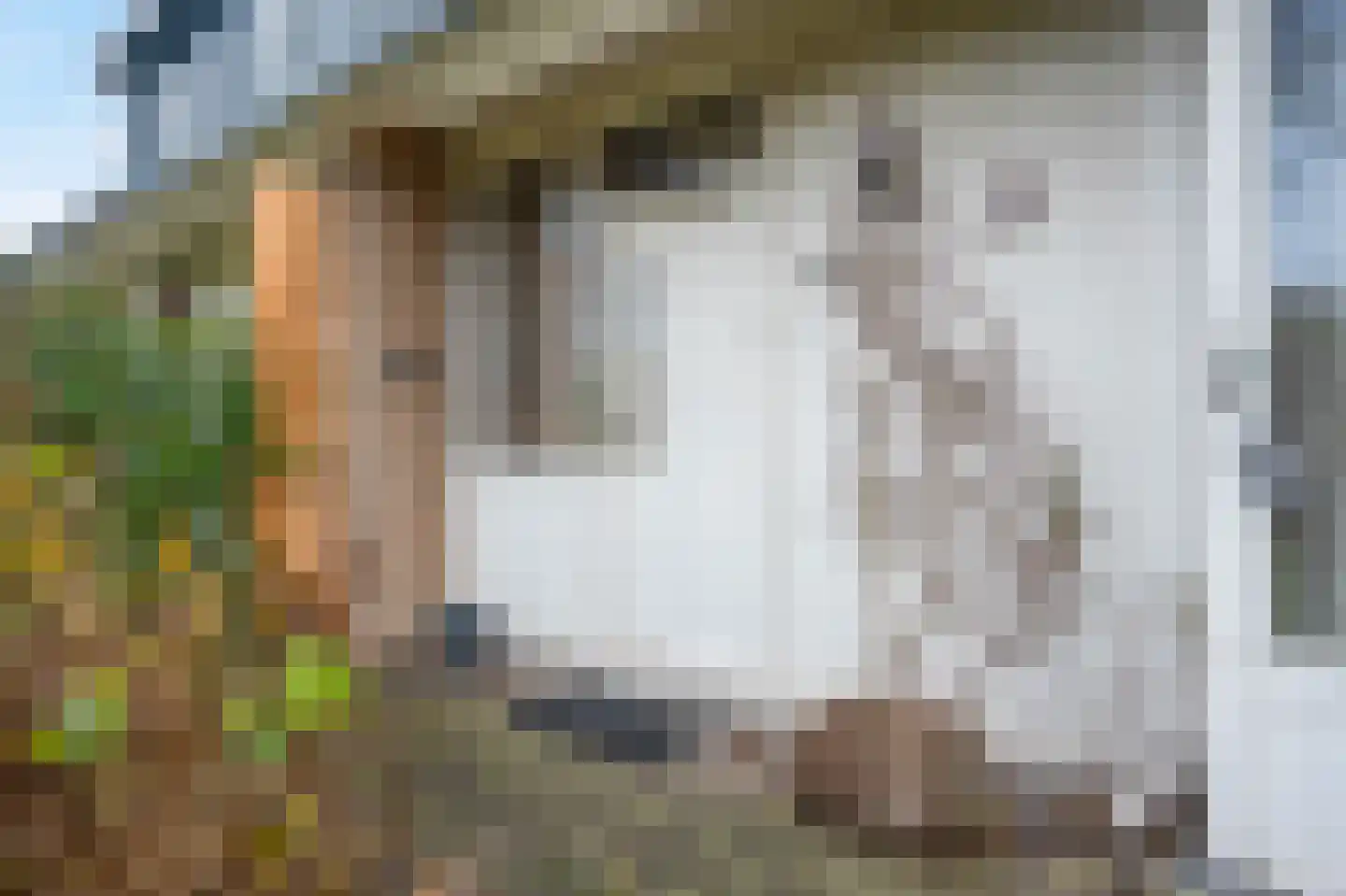 Karlingakkers 23 Peize thumbnail 8