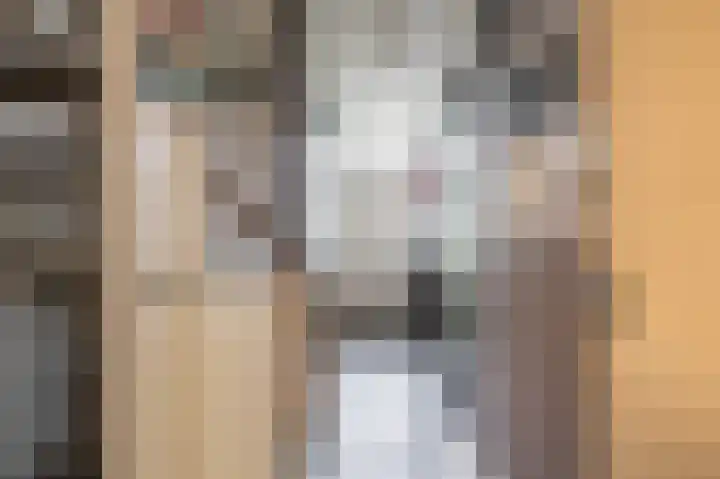 Karlingakkers 8 Peize thumbnail 10