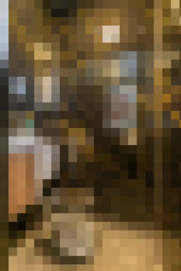 Karlingakkers 8 Peize thumbnail 11