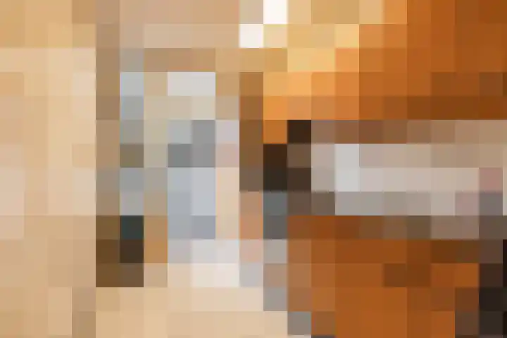 Karlingakkers 8 Peize thumbnail 13