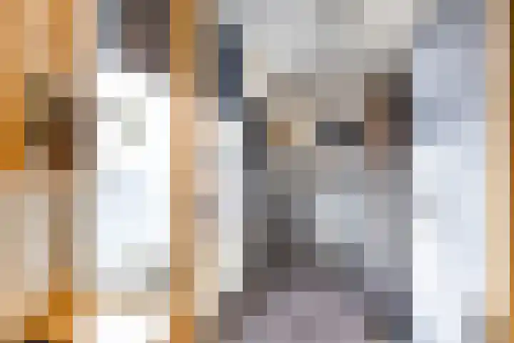 Karlingakkers 8 Peize thumbnail 15