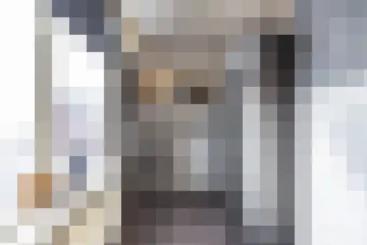 Karlingakkers 8 Peize thumbnail 16