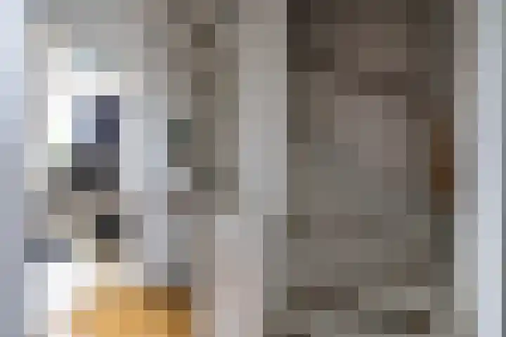Karlingakkers 8 Peize thumbnail 25