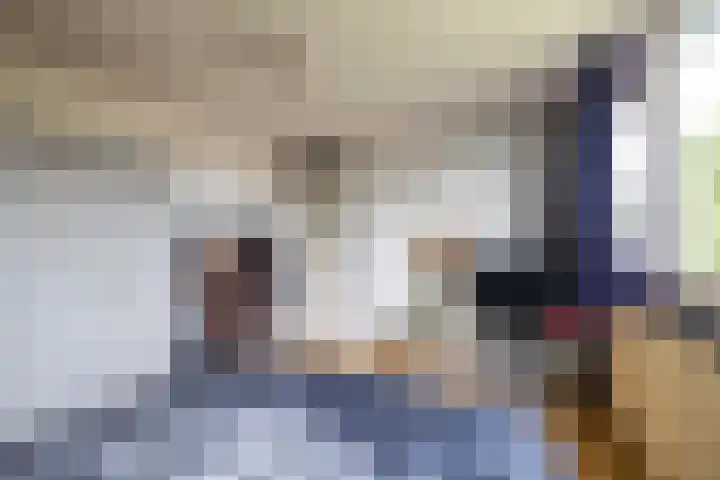 Karlingakkers 8 Peize thumbnail 28